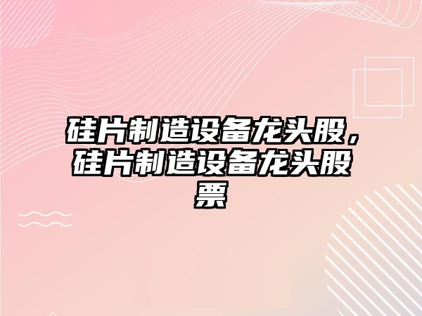 硅片制造設備龍頭股，硅片制造設備龍頭股票