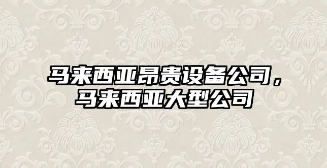 馬來(lái)西亞昂貴設備公司，馬來(lái)西亞大型公司