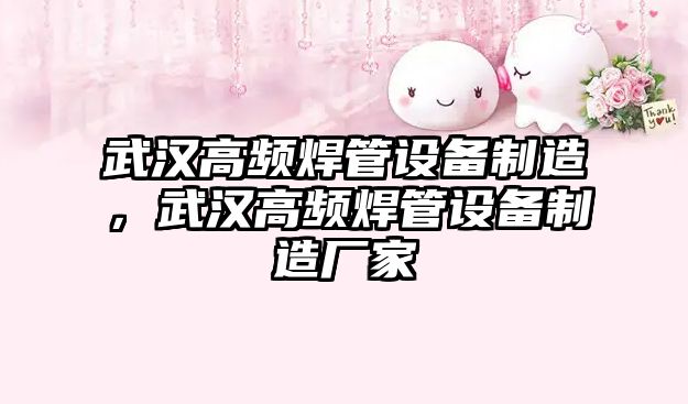 武漢高頻焊管設備制造，武漢高頻焊管設備制造廠(chǎng)家