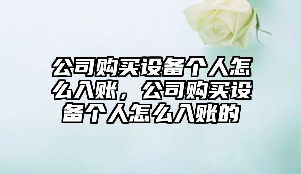 公司購買(mǎi)設備個(gè)人怎么入賬，公司購買(mǎi)設備個(gè)人怎么入賬的