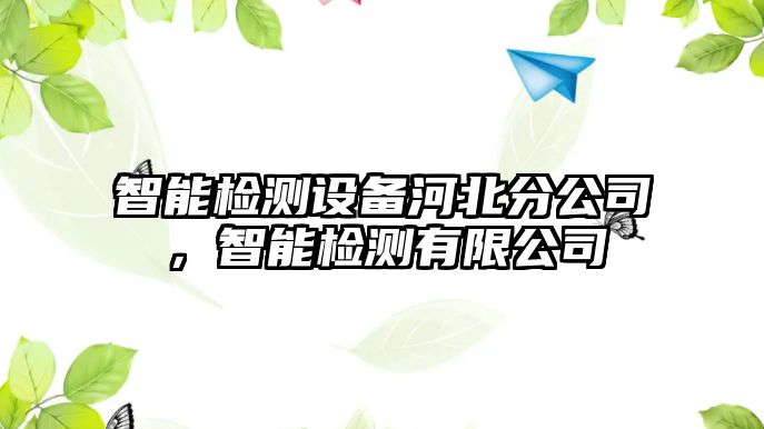 智能檢測設備河北分公司，智能檢測有限公司
