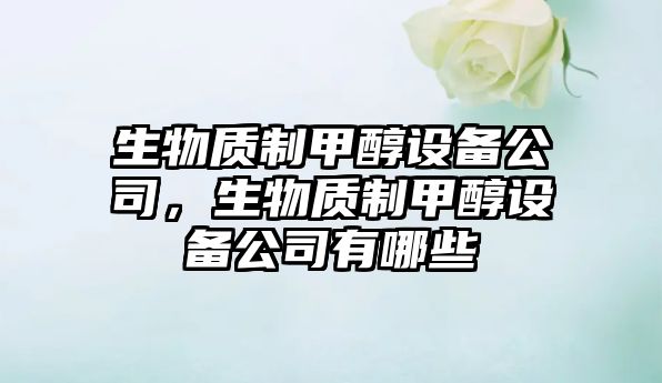 生物質(zhì)制甲醇設備公司，生物質(zhì)制甲醇設備公司有哪些