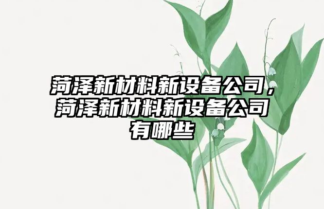 菏澤新材料新設備公司，菏澤新材料新設備公司有哪些