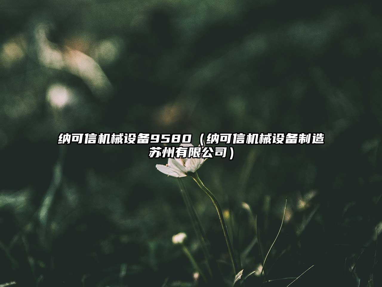 納可信機械設備9580（納可信機械設備制造蘇州有限公司）