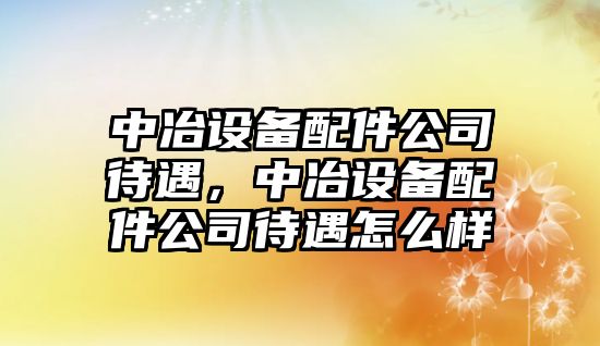 中冶設備配件公司待遇，中冶設備配件公司待遇怎么樣