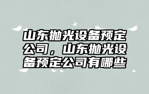 山東拋光設備預定公司，山東拋光設備預定公司有哪些