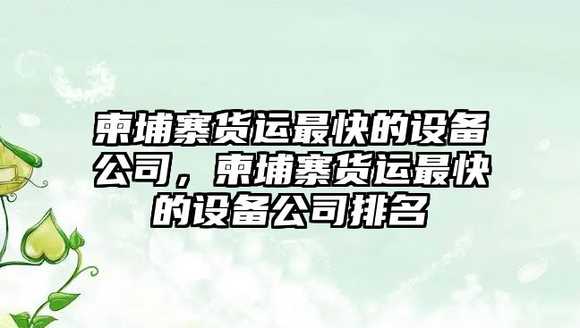 柬埔寨貨運最快的設備公司，柬埔寨貨運最快的設備公司排名