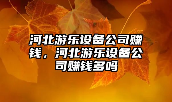 河北游樂(lè )設備公司賺錢(qián)，河北游樂(lè )設備公司賺錢(qián)多嗎