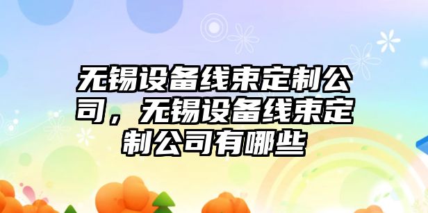 無(wú)錫設備線(xiàn)束定制公司，無(wú)錫設備線(xiàn)束定制公司有哪些