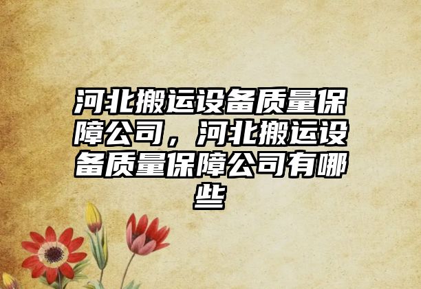 河北搬運設備質(zhì)量保障公司，河北搬運設備質(zhì)量保障公司有哪些