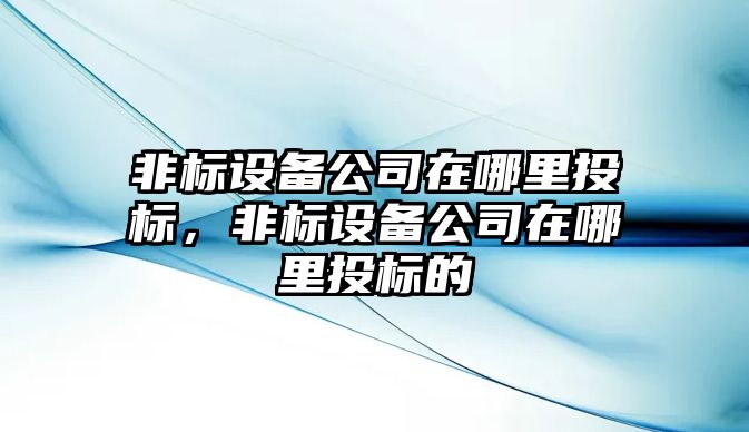 非標設備公司在哪里投標，非標設備公司在哪里投標的