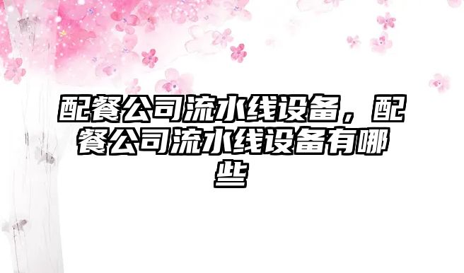 配餐公司流水線(xiàn)設備，配餐公司流水線(xiàn)設備有哪些