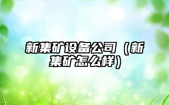 新集礦設備公司（新集礦怎么樣）