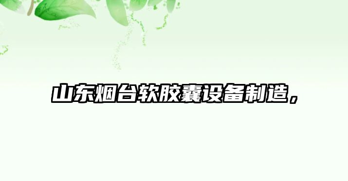 山東煙臺軟膠囊設備制造，
