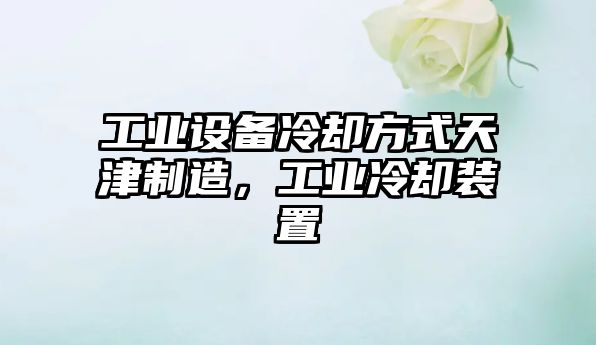 工業(yè)設備冷卻方式天津制造，工業(yè)冷卻裝置