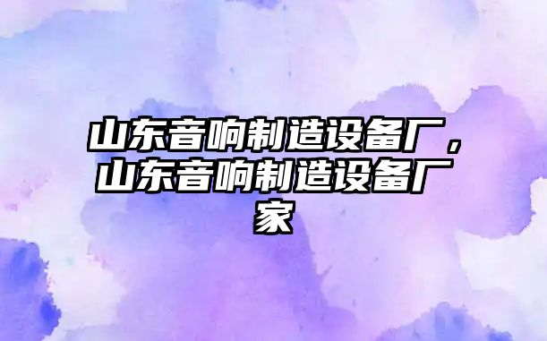 山東音響制造設備廠(chǎng)，山東音響制造設備廠(chǎng)家