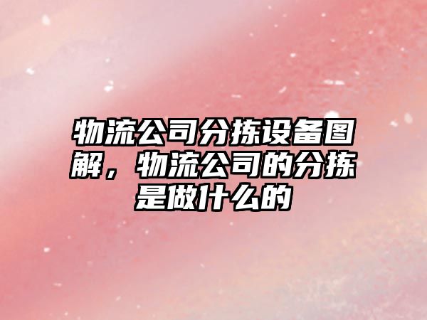 物流公司分揀設備圖解，物流公司的分揀是做什么的