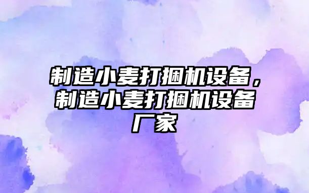 制造小麥打捆機設備，制造小麥打捆機設備廠(chǎng)家
