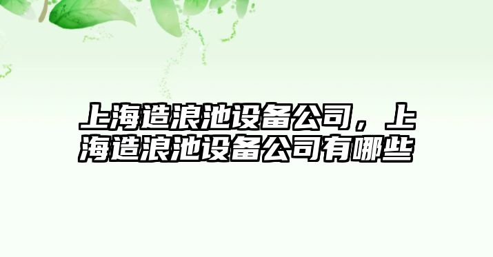 上海造浪池設備公司，上海造浪池設備公司有哪些