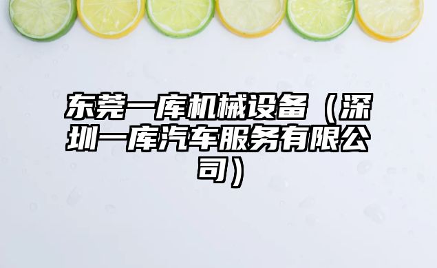 東莞一庫機械設備（深圳一庫汽車(chē)服務(wù)有限公司）