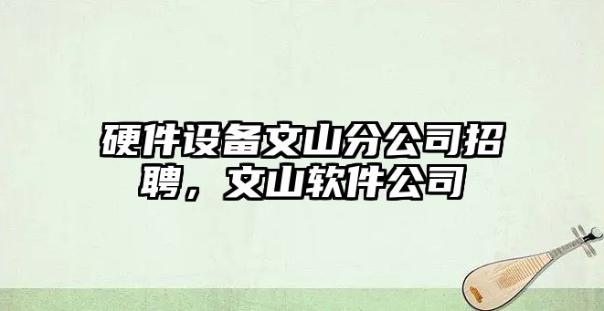 硬件設備文山分公司招聘，文山軟件公司