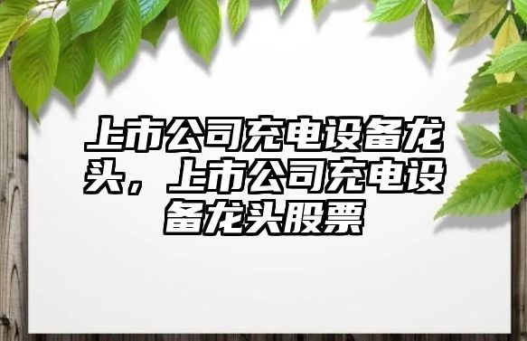 上市公司充電設備龍頭，上市公司充電設備龍頭股票