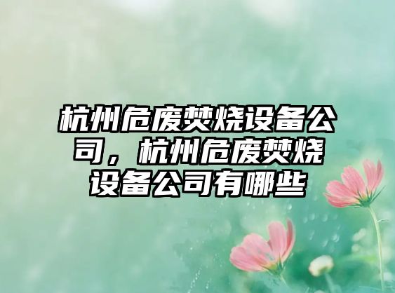 杭州危廢焚燒設備公司，杭州危廢焚燒設備公司有哪些