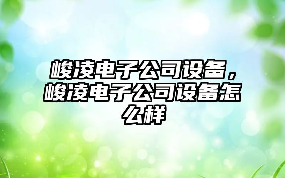 峻凌電子公司設備，峻凌電子公司設備怎么樣
