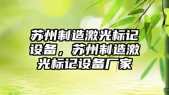 蘇州制造激光標記設備，蘇州制造激光標記設備廠(chǎng)家