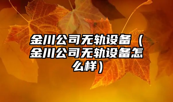 金川公司無(wú)軌設備（金川公司無(wú)軌設備怎么樣）