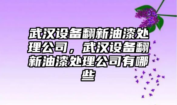 武漢設備翻新油漆處理公司，武漢設備翻新油漆處理公司有哪些