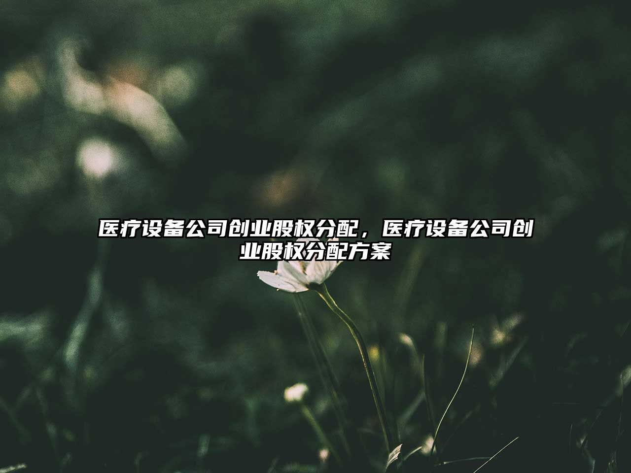醫療設備公司創(chuàng  )業(yè)股權分配，醫療設備公司創(chuàng  )業(yè)股權分配方案