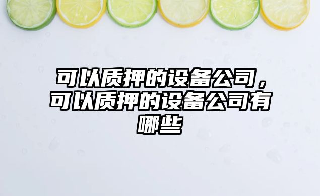 可以質(zhì)押的設備公司，可以質(zhì)押的設備公司有哪些