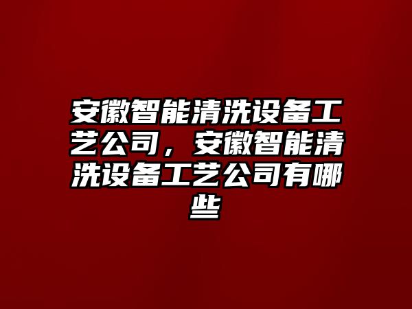 安徽智能清洗設備工藝公司，安徽智能清洗設備工藝公司有哪些