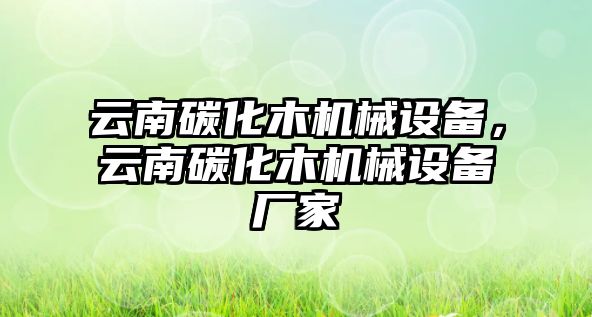 云南碳化木機械設備，云南碳化木機械設備廠(chǎng)家