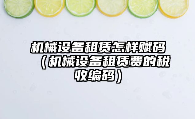 機械設備租賃怎樣賦碼（機械設備租賃費的稅收編碼）
