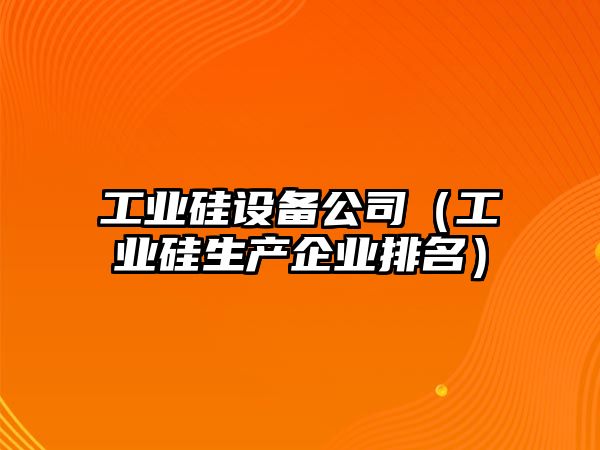 工業(yè)硅設備公司（工業(yè)硅生產(chǎn)企業(yè)排名）
