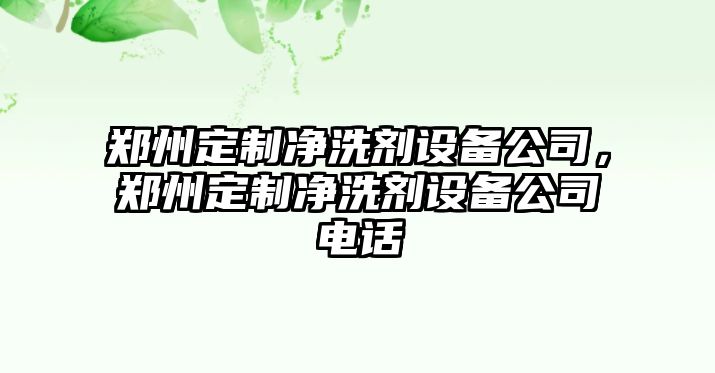 鄭州定制凈洗劑設備公司，鄭州定制凈洗劑設備公司電話(huà)