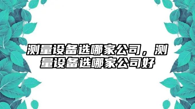 測量設備選哪家公司，測量設備選哪家公司好