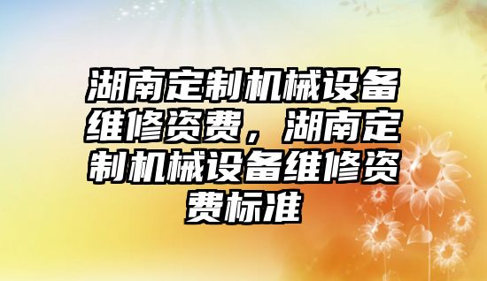 湖南定制機械設備維修資費，湖南定制機械設備維修資費標準