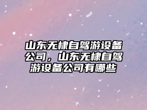 山東無(wú)棣自駕游設備公司，山東無(wú)棣自駕游設備公司有哪些