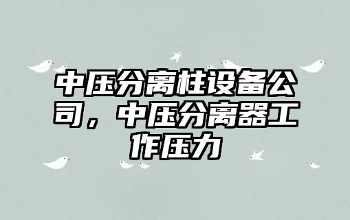 中壓分離柱設備公司，中壓分離器工作壓力