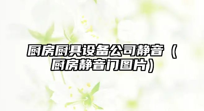 廚房廚具設備公司靜音（廚房靜音門(mén)圖片）