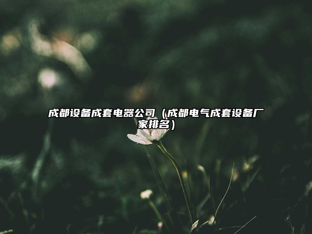 成都設備成套電器公司（成都電氣成套設備廠(chǎng)家排名）