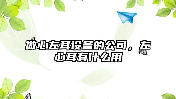 做心左耳設備的公司，左心耳有什么用