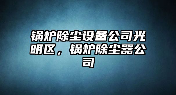 鍋爐除塵設備公司光明區，鍋爐除塵器公司