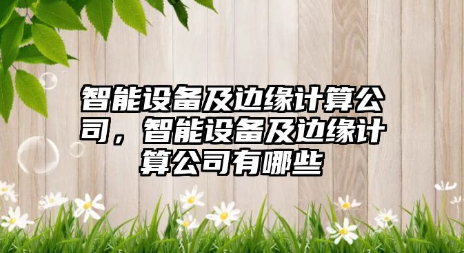 智能設備及邊緣計算公司，智能設備及邊緣計算公司有哪些