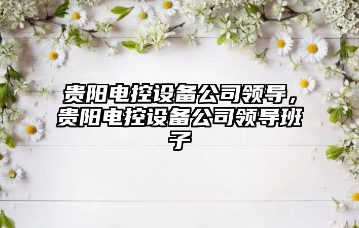 貴陽(yáng)電控設備公司領(lǐng)導，貴陽(yáng)電控設備公司領(lǐng)導班子