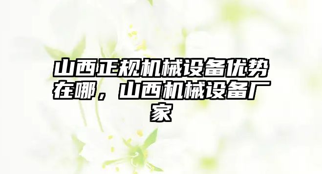山西正規機械設備優(yōu)勢在哪，山西機械設備廠(chǎng)家
