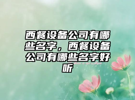 西餐設備公司有哪些名字，西餐設備公司有哪些名字好聽(tīng)